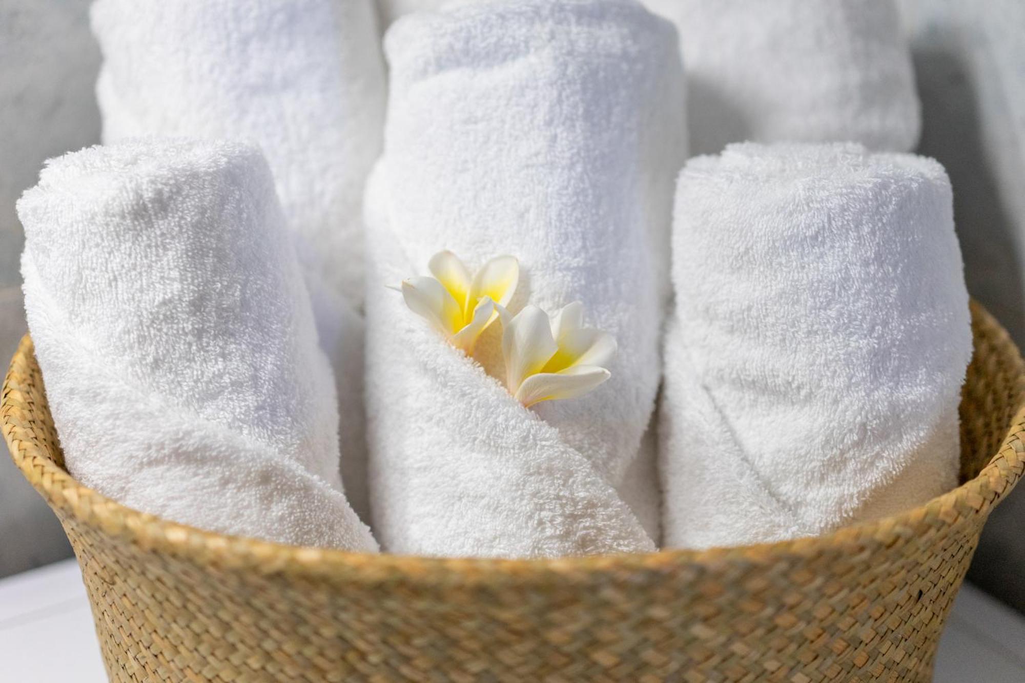 Plumeria Apartment Sitia (Crete)