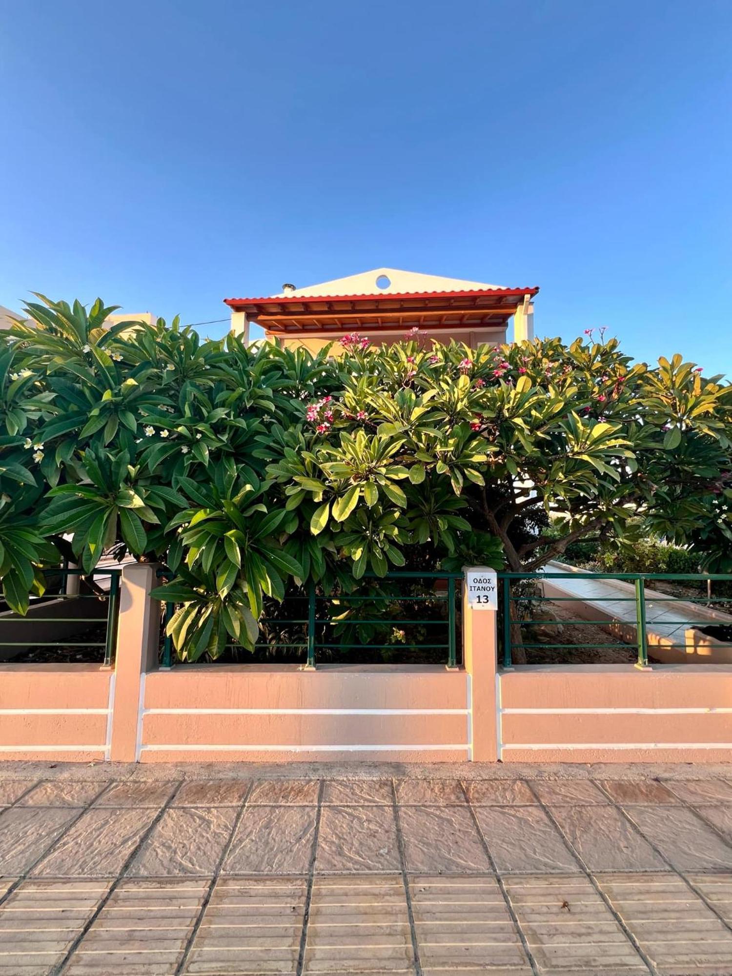 Plumeria * Sitia (Crete)